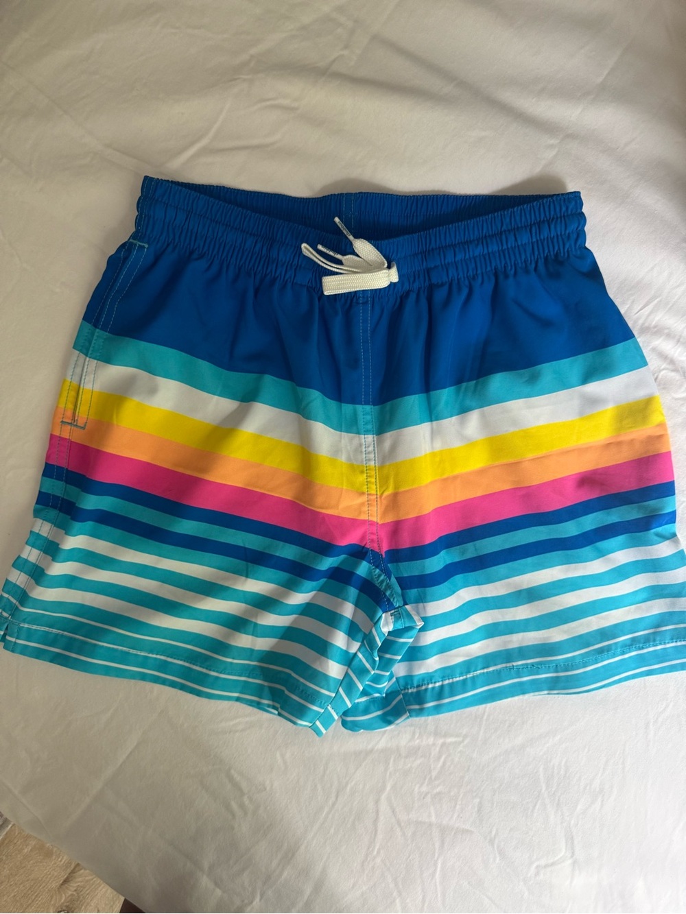 Men’s Chubbies Striped Swim Shorts.